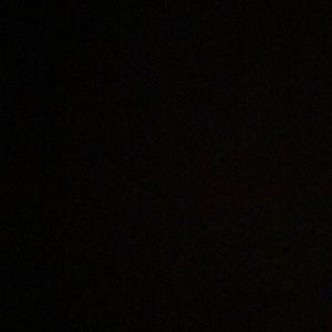 Meet your Posher, Vincent